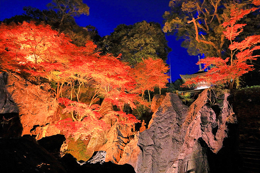 紅葉 石山寺