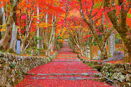 �{�����@�g�t