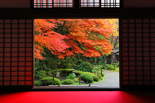 �����֎��@���݂��@�ʐ^