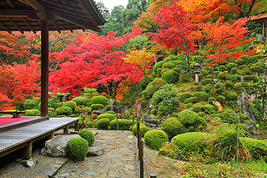 �����֎��@�g�t�@����