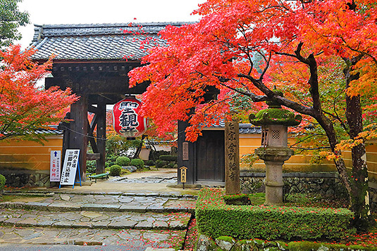 �����֎��̍g�t