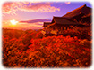 京都　絶景　紅葉