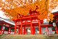 近江神宮の紅葉　高画質画像