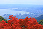 滋賀　琵琶湖　紅葉