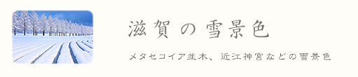 ꌧ@iF@ቻ