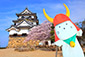 彦根城　桜　画像