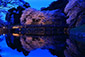 彦根城　桜ライトアップ　画像