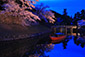 彦根城　桜　ライトアップ　屋形船