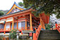 大崎寺の桜写真