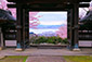 西教寺　琵琶湖　桜