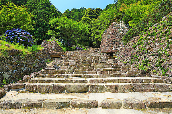 ���y��Ձ@�ʐ^