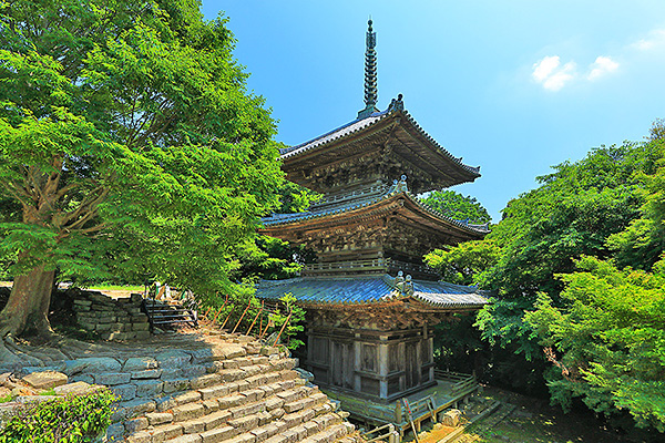 ���y��Ձ@�摜