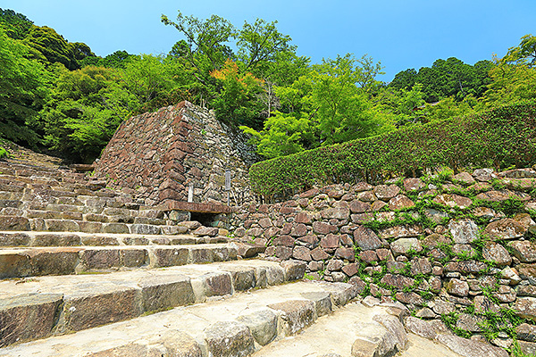 ���y��@�ʐ^