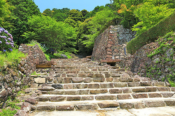 ���y��Ձ@���掿�@�摜