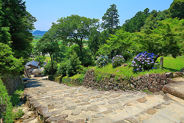 ���y��Ձ@��蓹