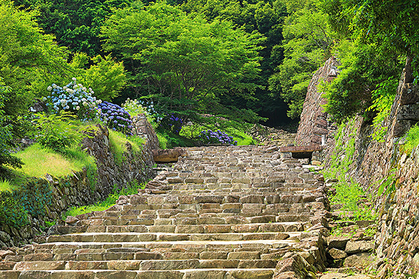 ����@���y��Ձ@��