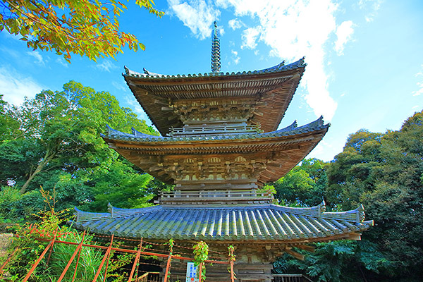 �ʌ����@���y��