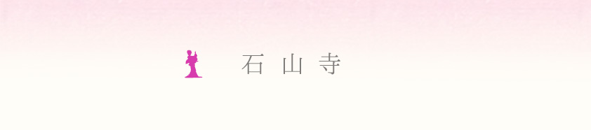 �ΎR���@�ʐ^
