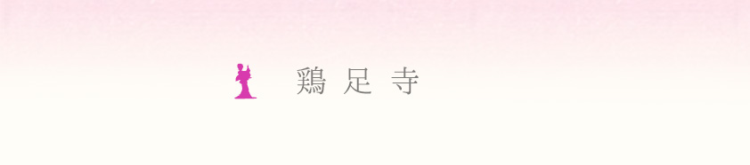 �{�����@�摜