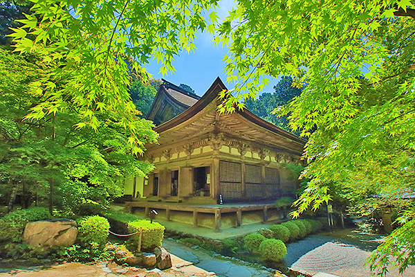 �����֎��@�摜