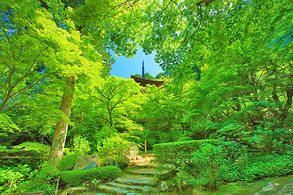 ����@�����֎��@�ʐ^