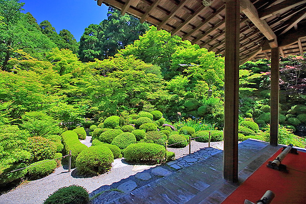 �����֎��@�����뉀