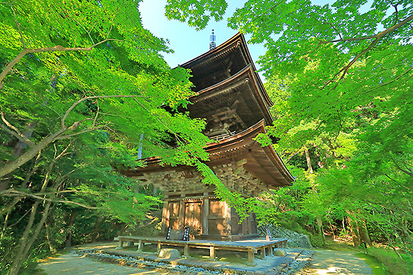 �����֎��@�O�d��