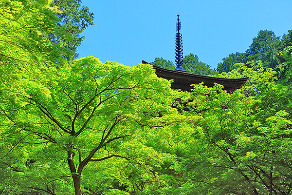 �����֎��@���掿�@�摜