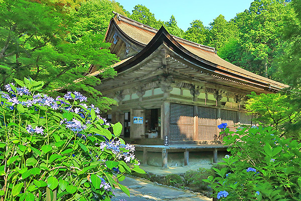 �����֎��@�A�W�T�C