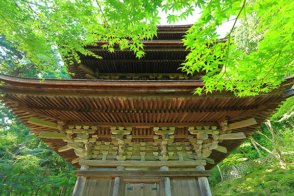 �����֎��@���݂�