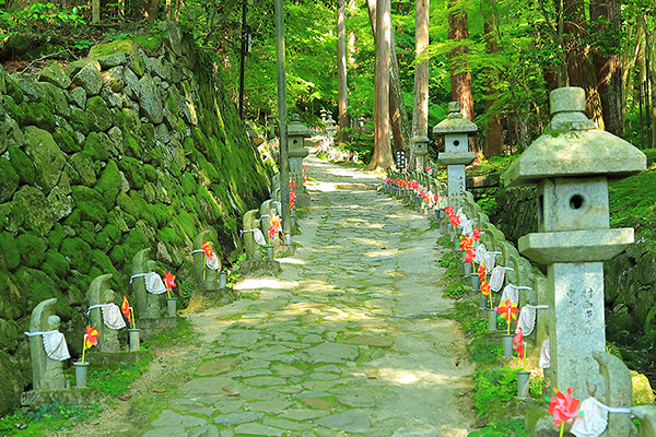 �����֎��@�Q��