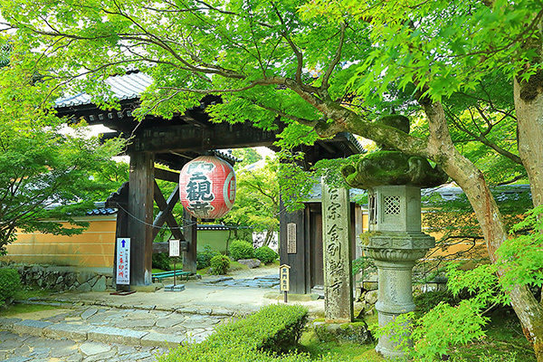 �����֎��@����@���掿�ʐ^