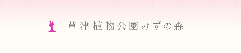 ���ÐA�������݂��̐X�@�ʐ^