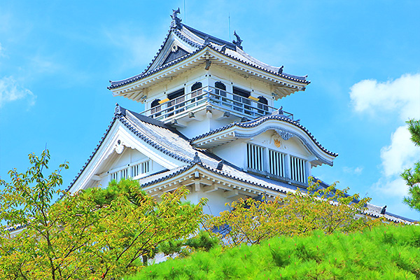 ���l��@���掿�摜