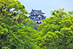 彦根城の夏