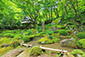 教林坊 夏 高画質画像