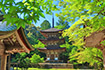 湖東三山 西明寺 夏