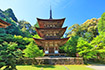 湖東三山 西明寺 三重塔