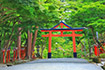 日吉大社 夏