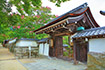 日吉馬場