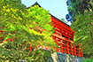 比叡山延暦寺 横川
