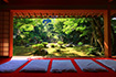 清瀧寺徳源院