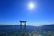 白髭神社 夏