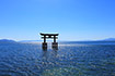 白髭神社 夏写真