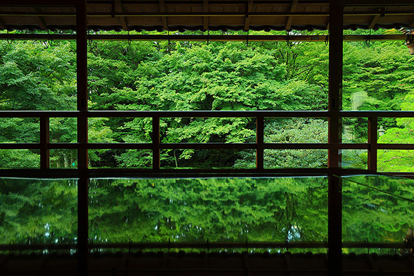 ���|�щ@�@���掿�@�ʐ^