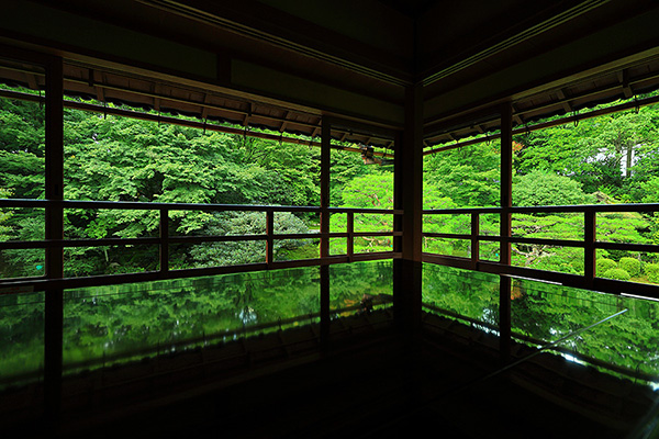 �|�щ@�@���t���N�V����