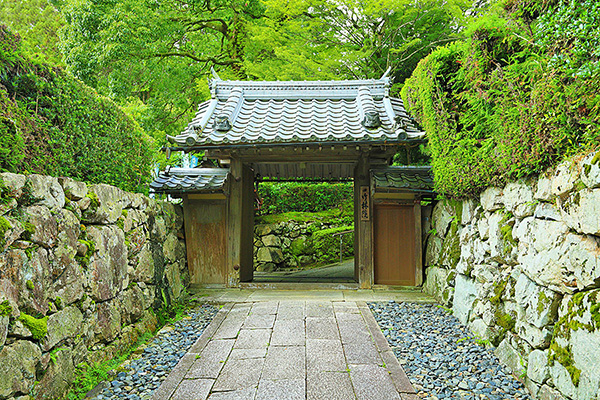 ���|�щ@�@���イ������񂢂�