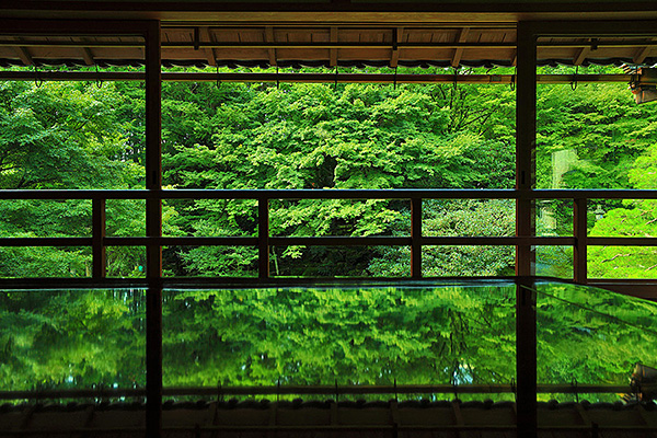 ����@���|�щ@�@�摜