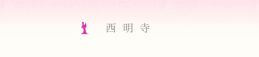 �������@�ʐ^