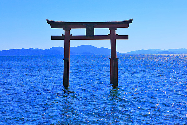 ��颐_�Ё@�ʐ^